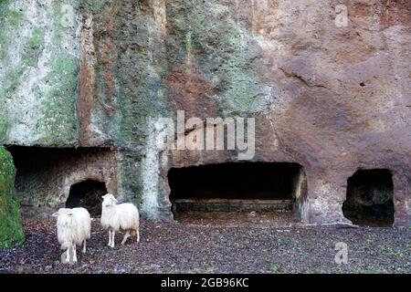 Tombes étrusques sculptées dans le tuf, les moutons, Sutri, province de Viterbo, région du Latium, Italie Banque D'Images