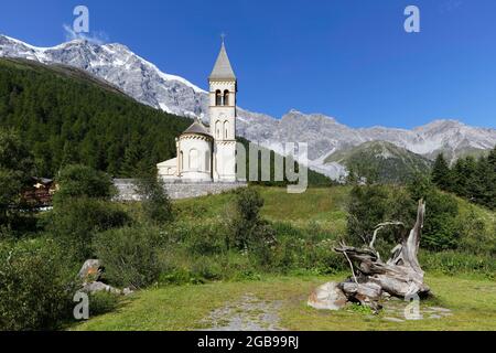 Pré de montagne avec ancienne racine, église paroissiale de Saint-Gertaud, massif d'Ortler à l'arrière, village de montagne de Sulden, Solda, quartier de la Banque D'Images