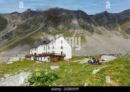 En face du chardon alpin (Cirsium spinosissimum), Duesseldorfer Huette également Zaytalhuette, refuge à 2721 mètres d'altitude, près du village de montagne Banque D'Images