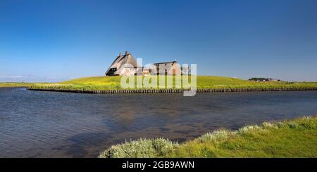 Le Kirchwarft sur Hallig Hooge, Frise du Nord, Schleswig-Holstein, Allemagne Banque D'Images