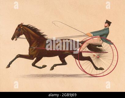 George M. Patchen Trotting Stallion 1889 Banque D'Images