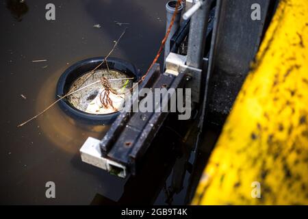 Emden, Allemagne. 09e juin 2021. Le bac à litière marin recueille la litière flottante dans le bassin du port. Plusieurs villes de Basse-Saxe prévoient d'équiper leurs ports de ce que l'on appelle des bacs à litière marins dans un avenir proche. Une pompe submersible sous le panier aspire en permanence dans l'eau. Le flotsam flottant sur la surface de l'eau à proximité est aspiré et tombe dans le filet de collecte. L'eau retourne dans le bassin du port. (À dpa-KORR.: 'Seaux avec succion: Comment les poubelles flottantes débarrassent les ports de plastique') Credit: Sina Schuldt/dpa/Alay Live News Banque D'Images