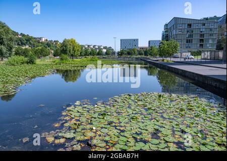 Un réservoir d'eau de pluie orné de nénuphars dans le quartier de la confluence, Lyon, France Banque D'Images