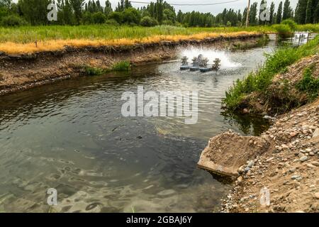 Aérateurs équipement aquacole d'enrichissement en oxygène Banque D'Images