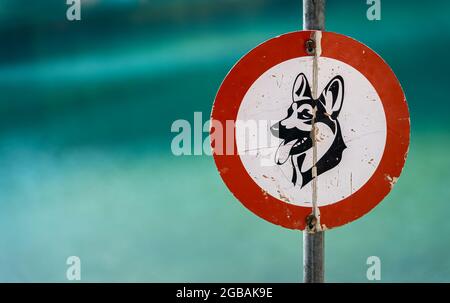 Signe d'avertissement qu'il est interdit de marcher les chiens au bord du lac Banque D'Images