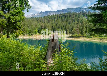 Scène naturelle au lac Caumasee, situé dans la partie sud de la commune de Flims dans le canton suisse de Graubunden. Banque D'Images