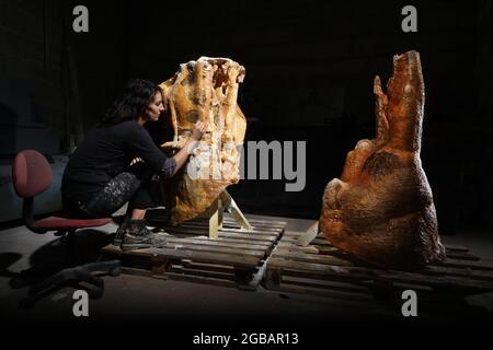 Le préhistorien et plasticien Alain Dalis est responsable de la reproduction des murs du Cave Cosquer dans son atelier de Montignac. La grotte Cosquer est un Trésor archéologique submergé dans la crique de Marseille. Cette grotte découverte dans les années 1990 par le plongeur Henri Cosquer comprend plus de 270 œuvres d'art préhistoriques, y compris des représentations uniques de pingouins, de phoques et de méduses.en raison de la montée des eaux du réchauffement climatique, cette grotte disparaîtra. La construction de sa réponse restera à l'avenir le seul témoignage de ce Trésor de l'humanité.construit dans la construction de Banque D'Images