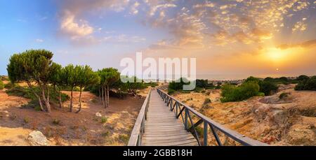 Dunes de sable donnant accès à la plage de la Barrosa à Sancti Petri au coucher du soleil, Cadix, Espagne. Banque D'Images