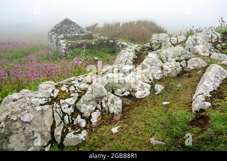 Vieux paysage de construction de ferme sur l'île Skomer Pembrokeshire South Wales UK qui est maintenant une ruine ancienne avec un mur de pierre couvert de brume, phot de fond Banque D'Images
