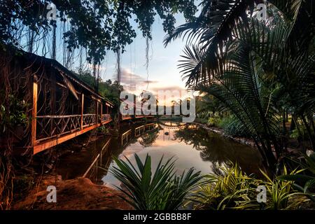 chambre d'hôtel à côté du lagon dans un cadre jungle Banque D'Images