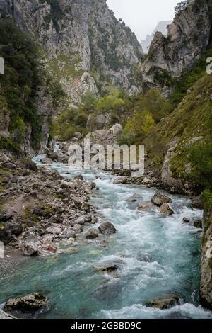 Ruta del CARES Trail nature paysage dans le parc national de Picos de Europa, Leon, Espagne, Europe Banque D'Images