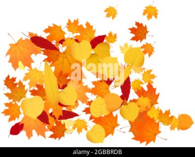 Pile de feuilles tombées. Tas de feuilles d'automne orange, jaune et rouge. Illustration de Vecteur