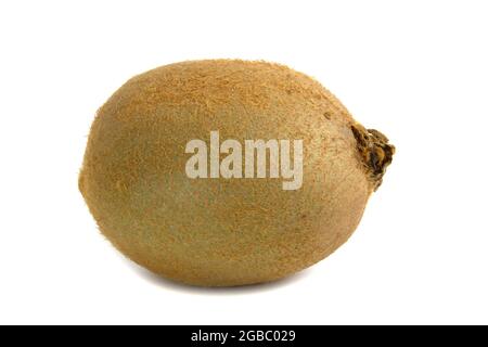 Gros plan sur des kiwis entiers isolés sur fond blanc. Banque D'Images