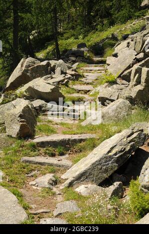 Scalini lungo il sentiero che sale da Ceresole Reale al lago di Dres nel Parco Nazionale del gran Paradiso, Italie Banque D'Images