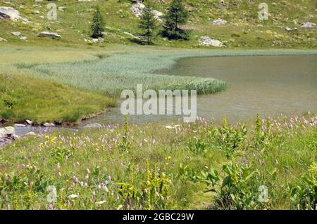 Lago di Dres dans valle Orco nel Parco nazionale del Gran Paradiso, Piemonte Banque D'Images