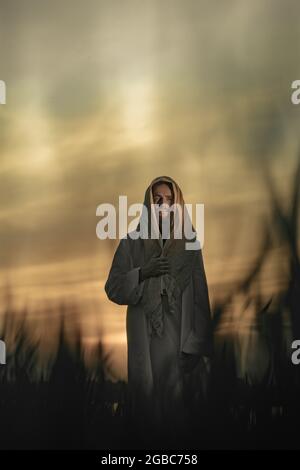 Jésus Christ marche dans la prairie vêtu de sa robe blanche traditionnelle sur fond de ciel au coucher du soleil. Banque D'Images