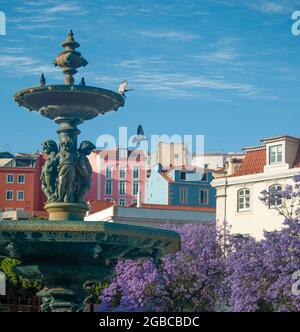 Jacaranda fleurit à Lisbonne Rosso Square North Fountain, belle vue sur les maisons colorées Banque D'Images