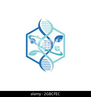 Logo de structure moléculaire de l'atome d'ADN hexagonal. Chimie DNA Molecule structure scientifique Atom Business Brand Vector logo design Illustration de Vecteur