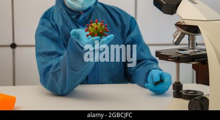 Médecin avec un modèle de coronavirus en main dans un bureau médical avec un microscope Banque D'Images