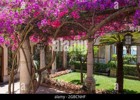 Taormina, Messine, Sicile, Italie. Marquise de bougainvilliers roses ornant la pergola ornementale dans les jardins du Grand Hotel Timeo, via Teatro Greco. Banque D'Images