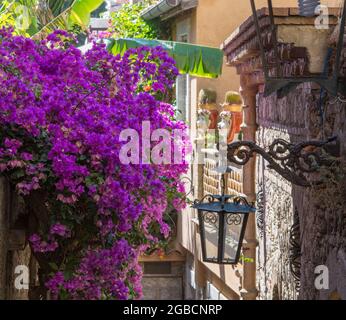 Taormina, Messine, Sicile, Italie. Allée fleurie typique au large de Corso Umberto I, mur de pierre élevé drapé dans de superbes bougainvilliers roses. Banque D'Images