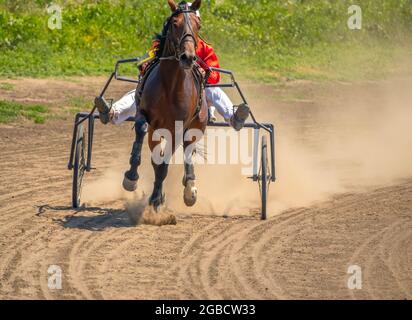 Journée ensoleillée d'été à l'hippodrome. Un cheval attaché à un chariot descend sur la piste Banque D'Images