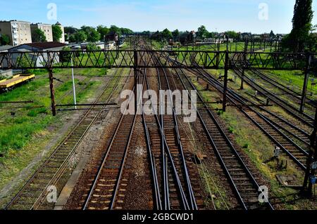 Infrastructure ferroviaire, signalisation et locomotive électrique sur les voies. Été. Banque D'Images