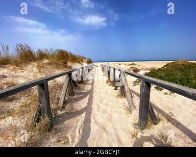 Dunes de sable donnant accès à la plage El Palmar à Vejar de la Frontera, Cadix, Espagne. Banque D'Images