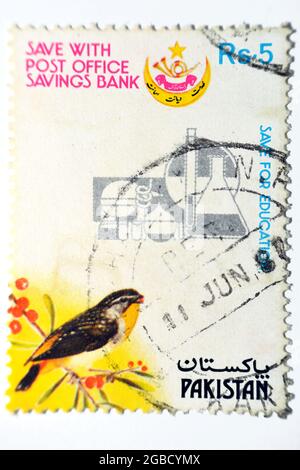 Un timbre-poste du Pakistan présente un oiseau de Pardalote tacheté, un timbre Save for Education, avec inscription Save à la banque d'épargne du bureau de poste, vers 19 Banque D'Images