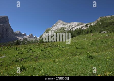 Vue panoramique sur la famille de montagne Watzmann avec de la femme gauche, petit Watzmann, enfants et grand Watzmann et Watzmannhaus montagne Lodge, Ramsau, Berc Banque D'Images