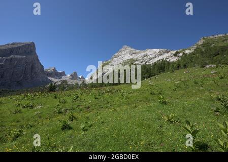 Vue panoramique sur la famille de montagne Watzmann avec de la femme gauche, petit Watzmann, enfants et grand Watzmann et Watzmannhaus montagne Lodge, Ramsau, Berc Banque D'Images
