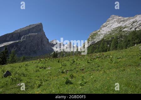 Vue panoramique sur la famille de montagne Watzmann avec de la femme gauche, petit Watzmann, enfants et grand Watzmann, Ramsau, Berchtesgaden, Bavière, Allemagne Banque D'Images