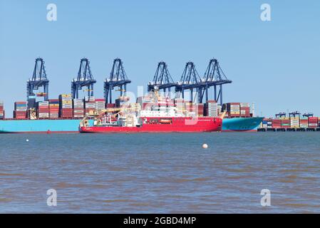 Navire de recherche RRS Sir David Attenborough quittant Harwich Haven. Banque D'Images