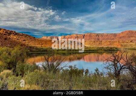 Le fleuve Colorado traverse tranquillement la région de Lees Ferry du terrain de loisirs national de Glen Canyon, Arizona, États-Unis Banque D'Images