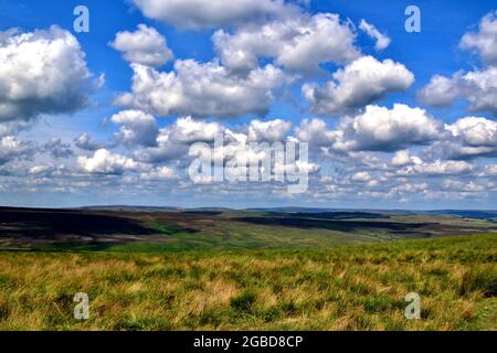 Great Manshead Hill et les landes environnantes. Banque D'Images