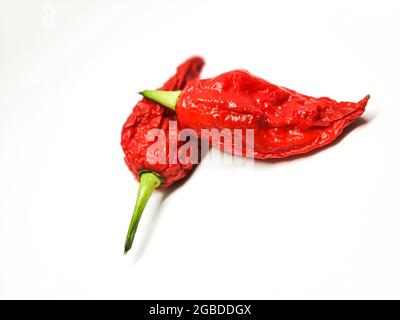 Bhut jolokia fantôme poivre isolé sur fond blanc. Fresh Carolina Reaper. Banque D'Images