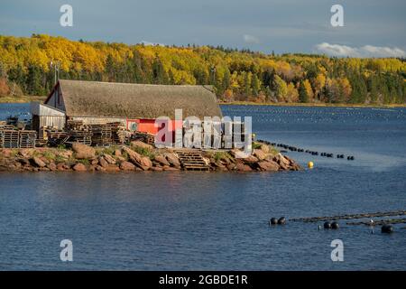 Champs de moules aquatiques cultivés dans les criques le long des côtes de Prince Edward, Canada. Banque D'Images