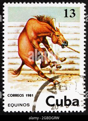 CUBA - VERS 1981 : un timbre imprimé à Cuba montre Horse, Equus Ferus caballus, vers 1981 Banque D'Images