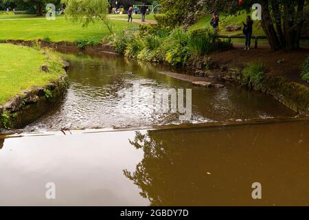 Petit ruisseau et belette dans un parc public Banque D'Images
