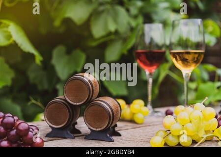 Concept de cave de vinification. Fûts de vin miniatures sur fond de vignes, de raisin et de verres à vin avec vin rouge et blanc. Mise au point sélective, copie Banque D'Images