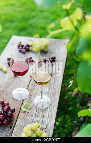 Verres à vin blanc et rouge et raisin sur la table en bois dans les vignobles, domaine viticole avec fond d'herbe verte. Dégustation de vins, Degustation. Verticale Banque D'Images