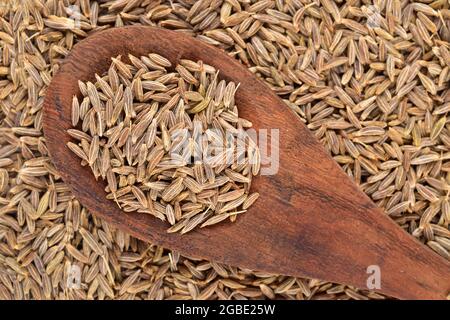 Vue de dessus des graines de cumin en cuillère en bois Banque D'Images