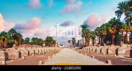 avenue des sphinx Banque D'Images