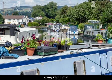 Pots de fleurs au sommet d'une barge sur le canal Leeds Liverpool à Bingley, Yorkshire. Banque D'Images