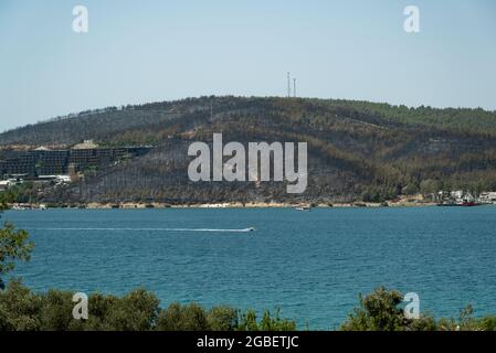 Mugla, Turquie - 1er août 2021. Forêt brûlée autour des hôtels Anic et Lujo après le feu de forêt à Bodrum Banque D'Images