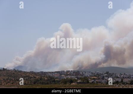 Mugla, Turquie - 1er août 2021. Fumée de l'été 2021 incendies à Mugla Bodrum Mazi village Turquie. Banque D'Images