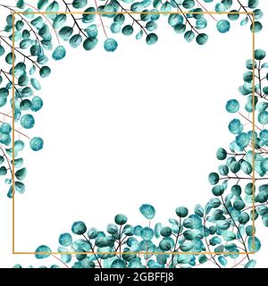 Cadre carré encadré de feuilles d'eucalyptus vertes sur un fond blanc isolé. Illustration aquarelle Banque D'Images
