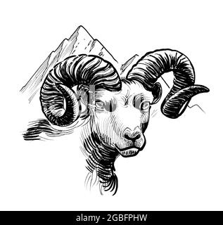 Tête de RAM et sommet de montagne. Dessin noir et blanc Banque D'Images