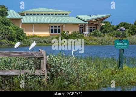 Centre d'accueil de la réserve nationale de recherche estuarienne Guana Tolomato Matanzas (GTM Research Reserve) sur la rivière Guana à Ponte Vedra Beach, FL. Banque D'Images