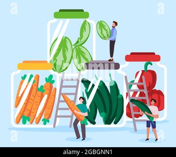 tous les légumes de fermentation de pickles faits maison dans un pot comme les carottes d'orange, les piments verts, le poivron rouge et les feuilles vertes qui sont aigres Illustration de Vecteur